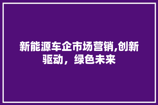 新能源车企市场营销,创新驱动，绿色未来 自动驾驶