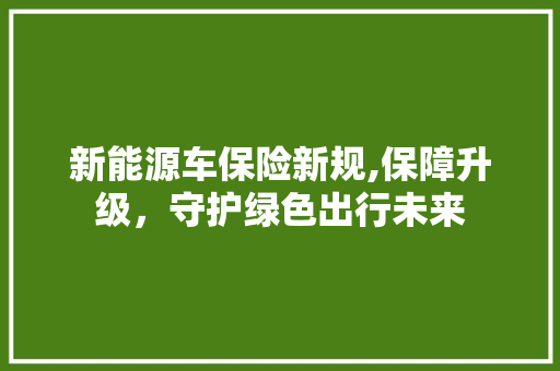 新能源车保险新规,保障升级，守护绿色出行未来