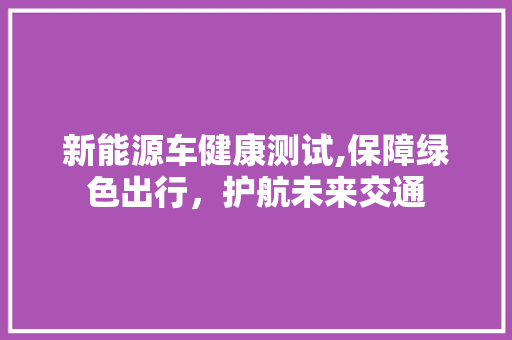 新能源车健康测试,保障绿色出行，护航未来交通