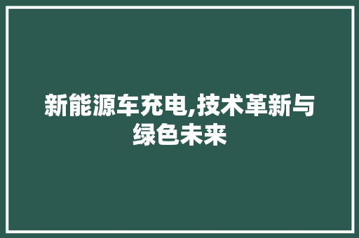 新能源车充电,技术革新与绿色未来
