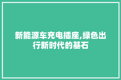 新能源车充电插座,绿色出行新时代的基石