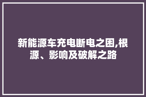 新能源车充电断电之困,根源、影响及破解之路