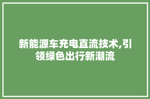 新能源车充电直流技术,引领绿色出行新潮流 汽车展览