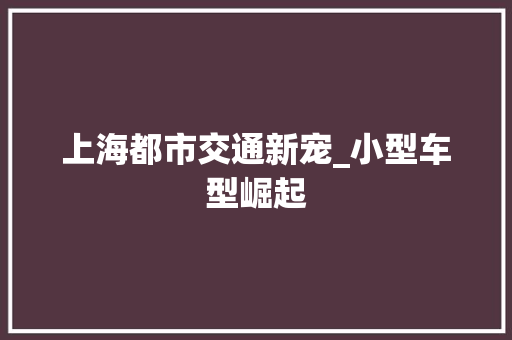上海都市交通新宠_小型车型崛起