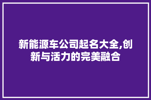 新能源车公司起名大全,创新与活力的完美融合