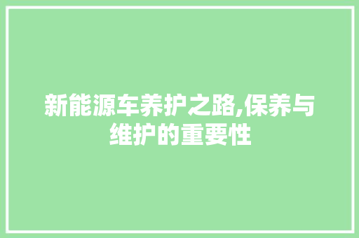 新能源车养护之路,保养与维护的重要性 汽车保养