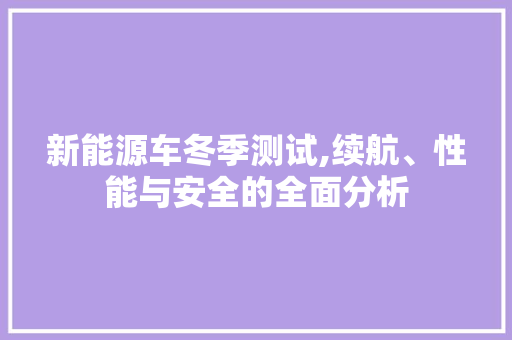 新能源车冬季测试,续航、性能与安全的全面分析 新车资讯