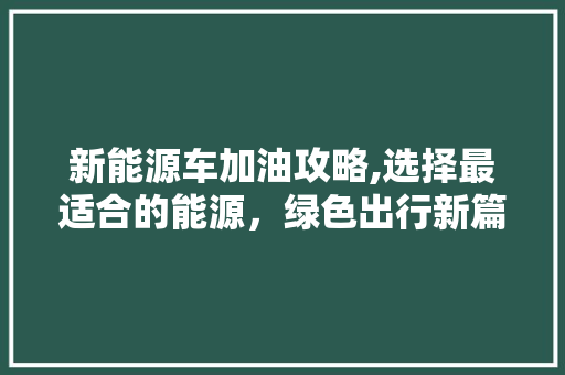 新能源车加油攻略,选择最适合的能源，绿色出行新篇章