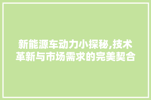 新能源车动力小探秘,技术革新与市场需求的完美契合