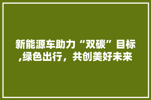 新能源车助力“双碳”目标,绿色出行，共创美好未来