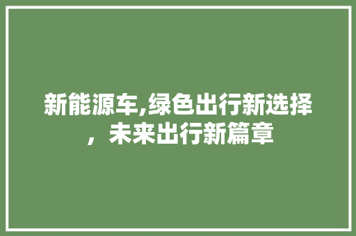新能源车,绿色出行新选择，未来出行新篇章 车载导航