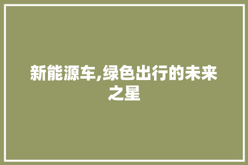 新能源车,绿色出行的未来之星