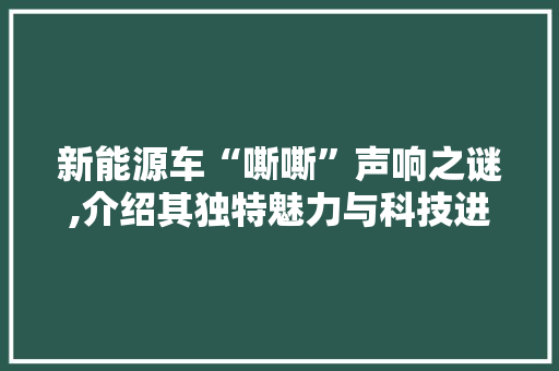 新能源车“嘶嘶”声响之谜,介绍其独特魅力与科技进步