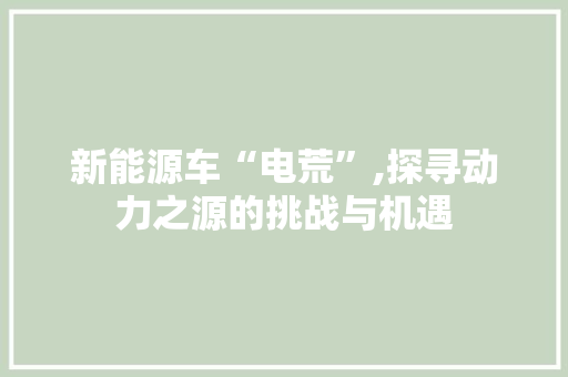 新能源车“电荒”,探寻动力之源的挑战与机遇