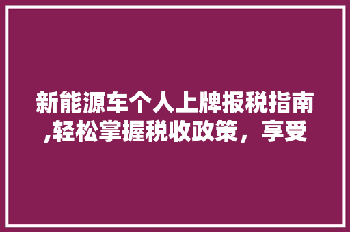 新能源车个人上牌报税指南,轻松掌握税收政策，享受绿色出行优惠