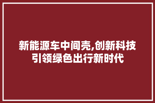 新能源车中间壳,创新科技引领绿色出行新时代 车载导航