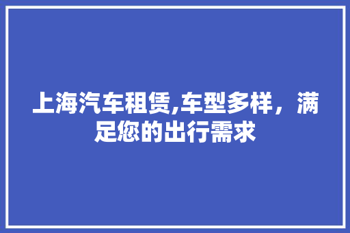 上海汽车租赁,车型多样，满足您的出行需求
