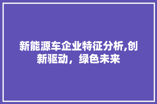 新能源车企业特征分析,创新驱动，绿色未来