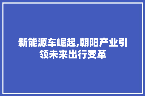 新能源车崛起,朝阳产业引领未来出行变革