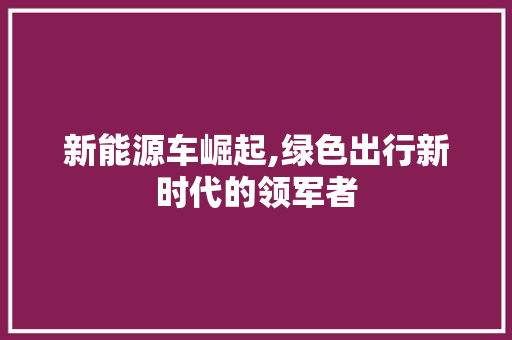 新能源车崛起,绿色出行新时代的领军者 车载导航