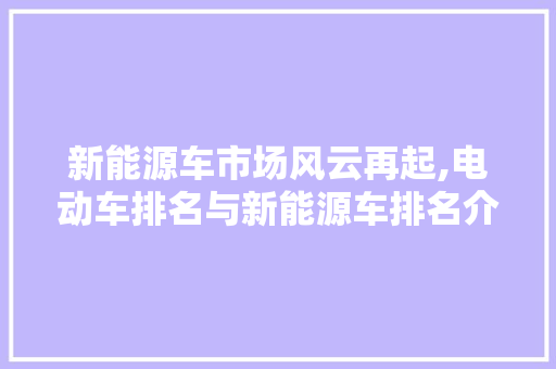 新能源车市场风云再起,电动车排名与新能源车排名介绍 车载导航