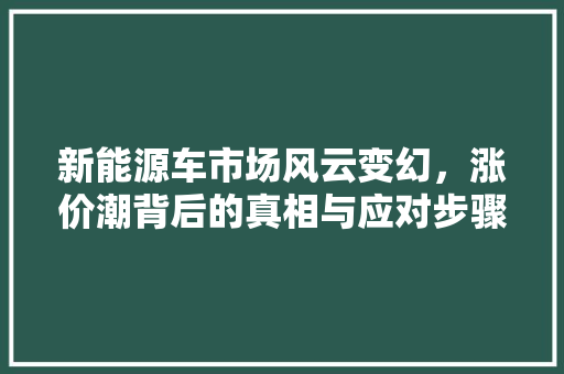 新能源车市场风云变幻，涨价潮背后的真相与应对步骤