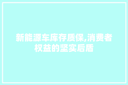 新能源车库存质保,消费者权益的坚实后盾