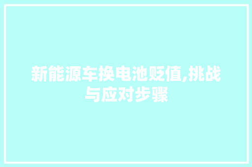 新能源车换电池贬值,挑战与应对步骤