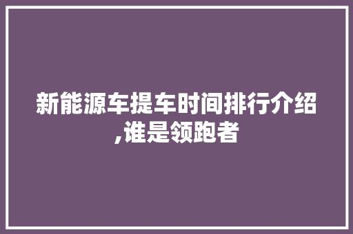 新能源车提车时间排行介绍,谁是领跑者