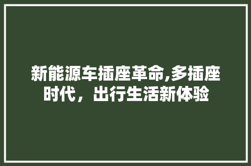 新能源车插座革命,多插座时代，出行生活新体验