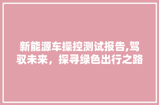 新能源车操控测试报告,驾驭未来，探寻绿色出行之路