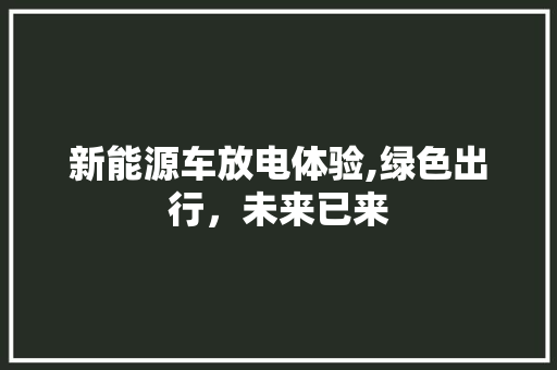 新能源车放电体验,绿色出行，未来已来 汽车配件