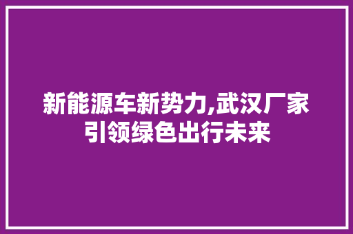 新能源车新势力,武汉厂家引领绿色出行未来