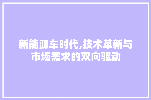新能源车时代,技术革新与市场需求的双向驱动