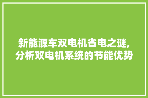 新能源车双电机省电之谜,分析双电机系统的节能优势