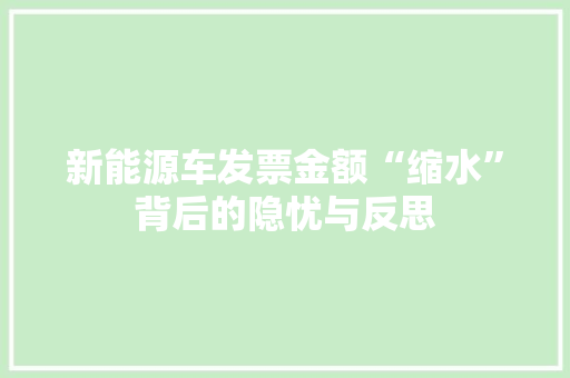 新能源车发票金额“缩水”背后的隐忧与反思