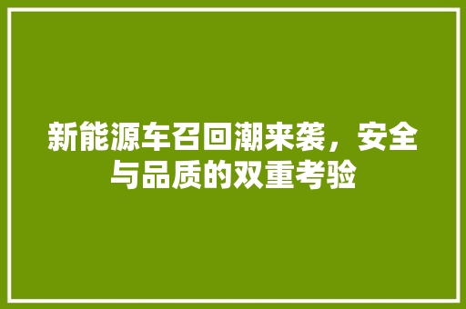 新能源车召回潮来袭，安全与品质的双重考验