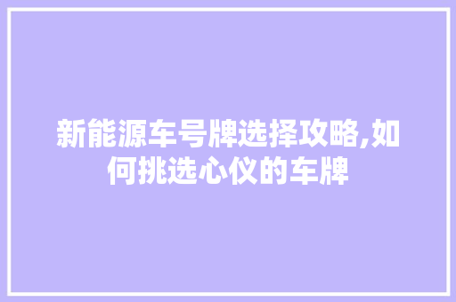 新能源车号牌选择攻略,如何挑选心仪的车牌