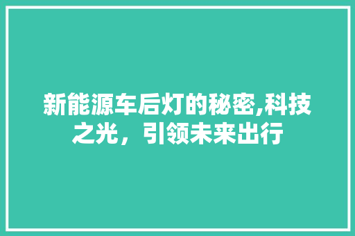 新能源车后灯的秘密,科技之光，引领未来出行