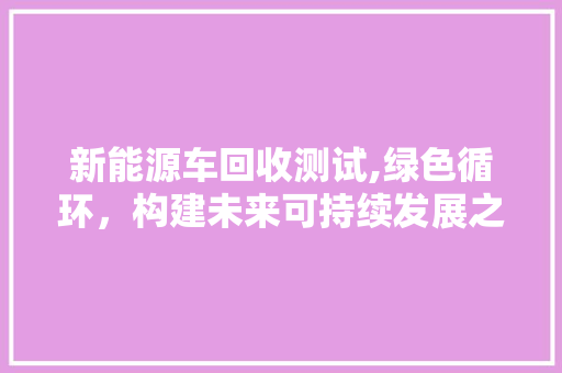 新能源车回收测试,绿色循环，构建未来可持续发展之路