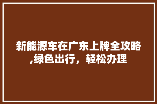 新能源车在广东上牌全攻略,绿色出行，轻松办理