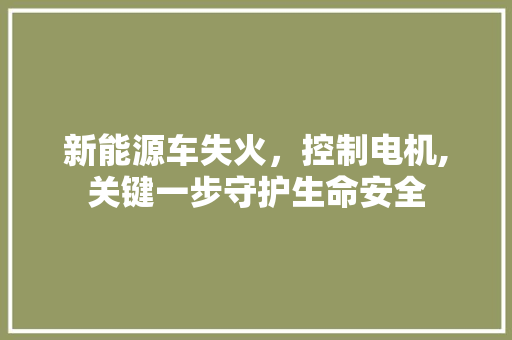 新能源车失火，控制电机,关键一步守护生命安全 混合动力车