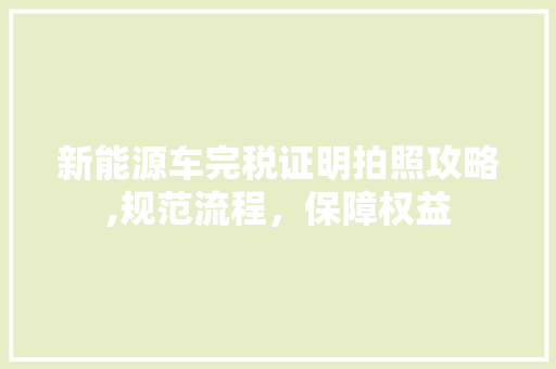 新能源车完税证明拍照攻略,规范流程，保障权益