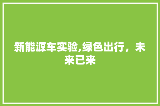 新能源车实验,绿色出行，未来已来