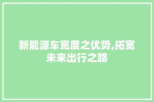 新能源车宽度之优势,拓宽未来出行之路