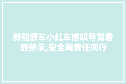 新能源车小红车感叹号背后的警示,安全与责任同行