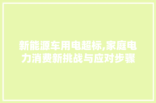 新能源车用电超标,家庭电力消费新挑战与应对步骤 自动驾驶
