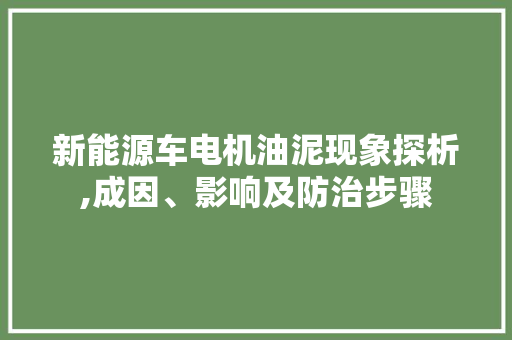 新能源车电机油泥现象探析,成因、影响及防治步骤