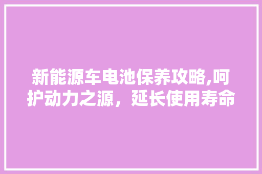 新能源车电池保养攻略,呵护动力之源，延长使用寿命 新能源汽车