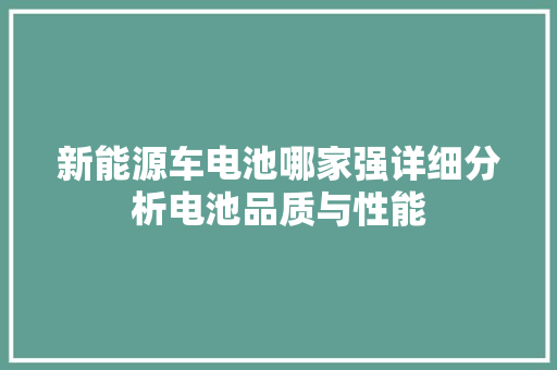 新能源车电池哪家强详细分析电池品质与性能